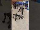 wheeled humanoid robot is alterego